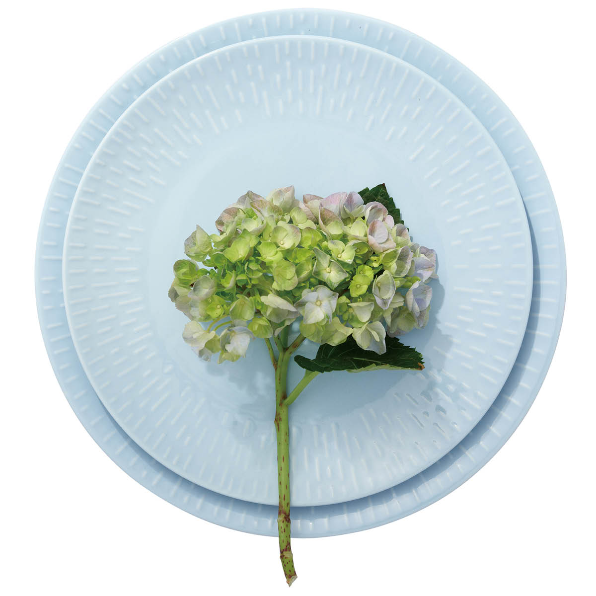 Confetti Tallrik 24 cm Aqua