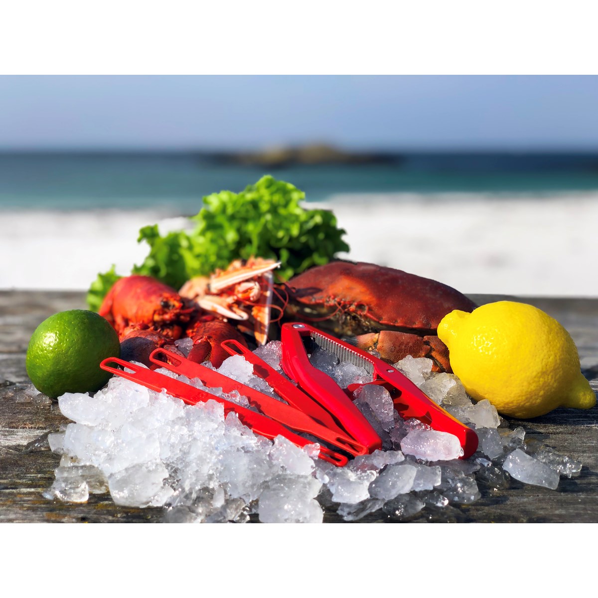 Skaldjursset  3 delar Röd