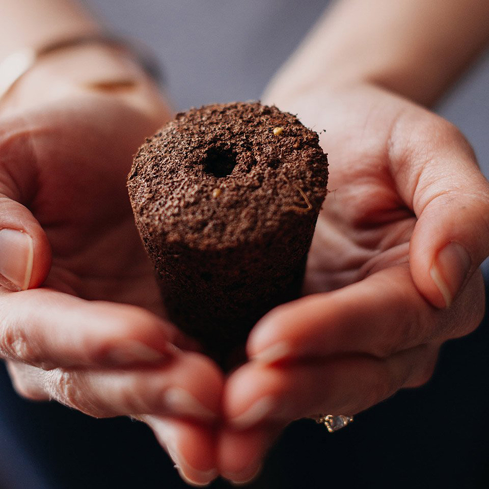 Smart Garden Växtkapsel refill 3-pack Persilja