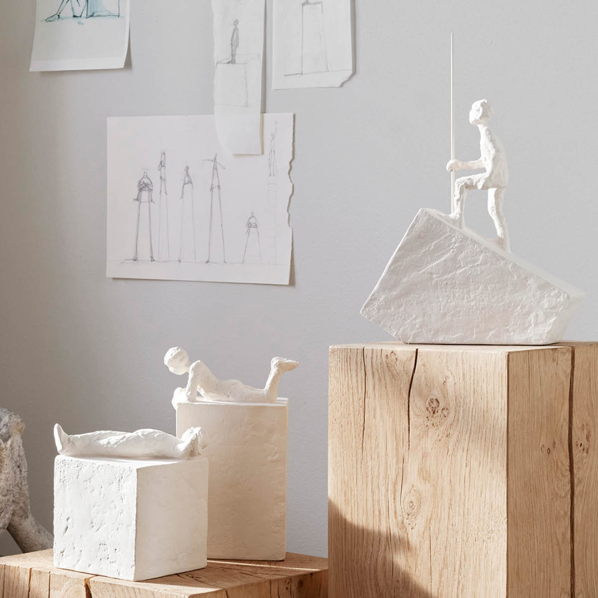 Astro Capricorn 25 cm Vit