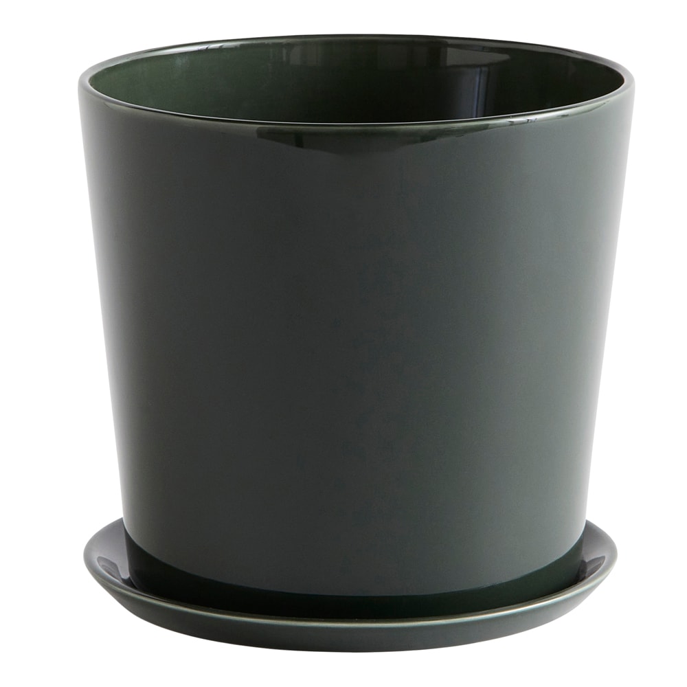 Botanical Family Set X-Large Mörkgrön