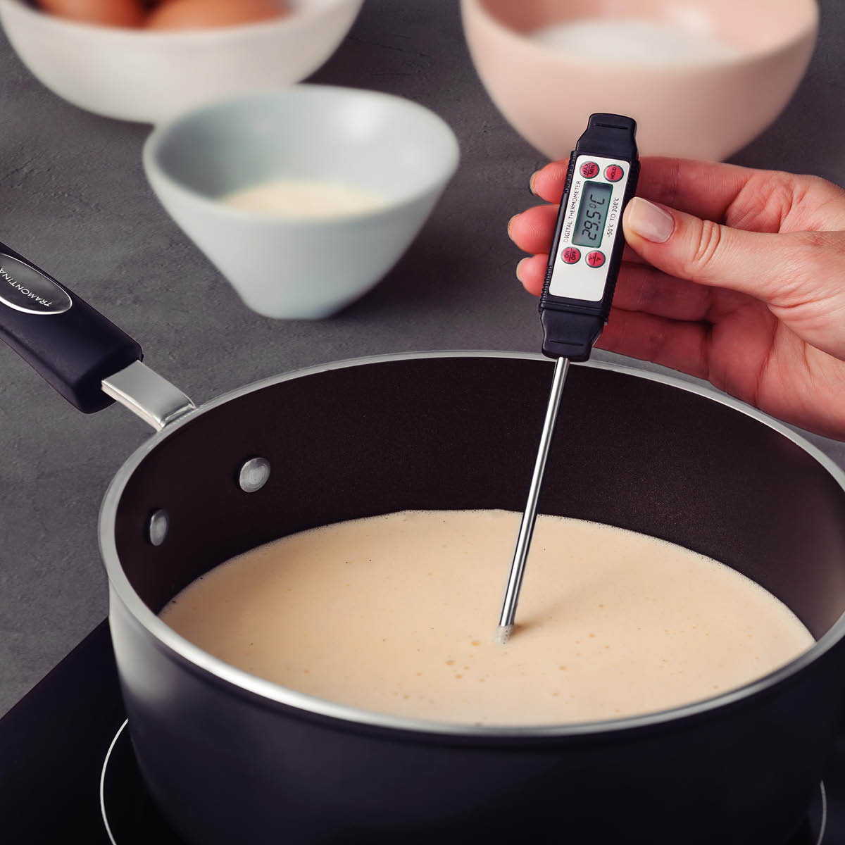 Stektermometer Digitalt Svart