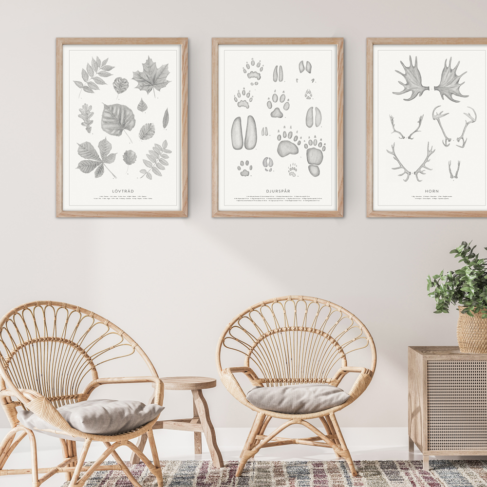 Poster 50x70 cm  Lövträd