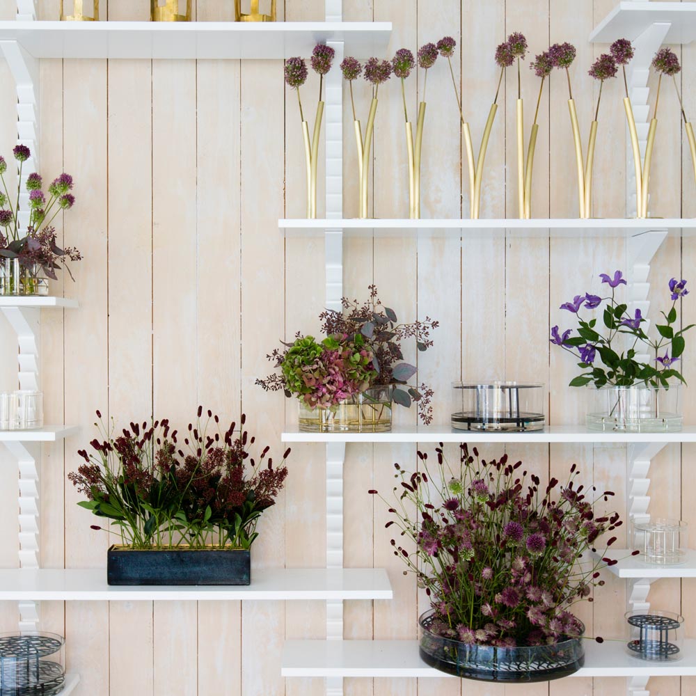 Äng Vas liten Blåsvart