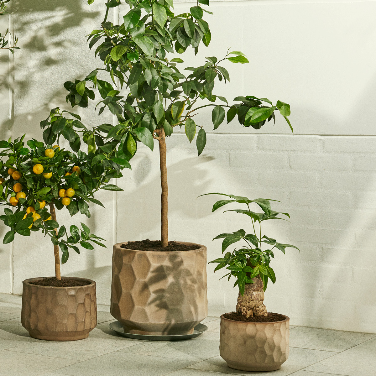 Gro Kruka 16,5 cm Sand