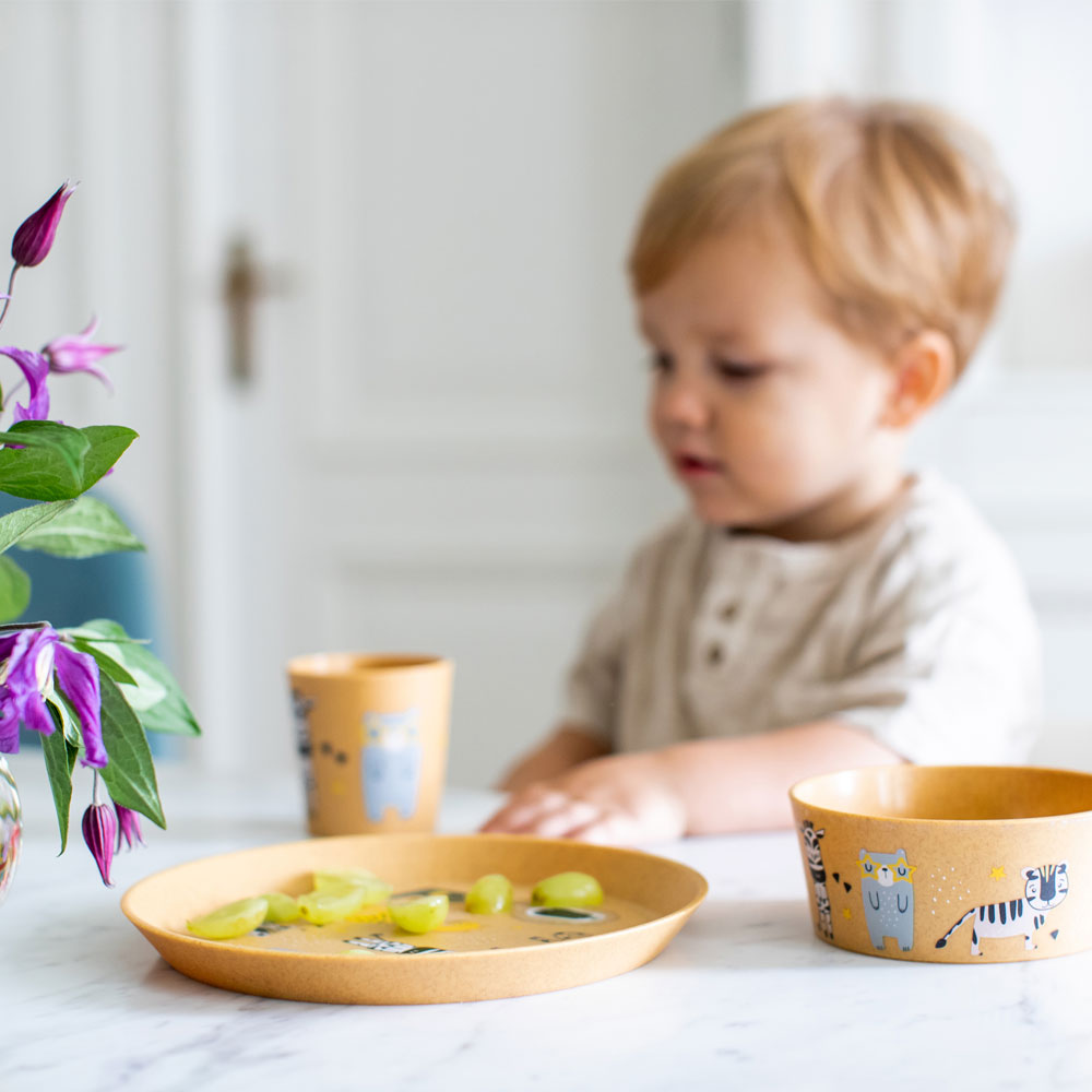 Connect Servis 3 delar Tallrik Skål Mugg Zoo