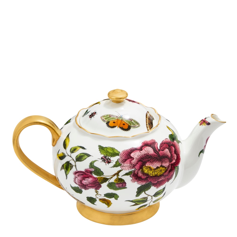 Creatures of Curiosity Tekanna 1 l Snake