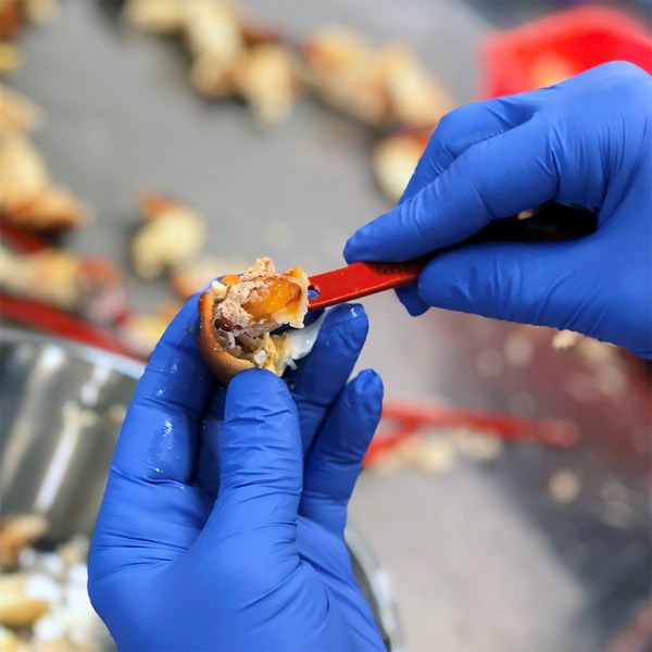 Skaldjursset  3 delar Röd