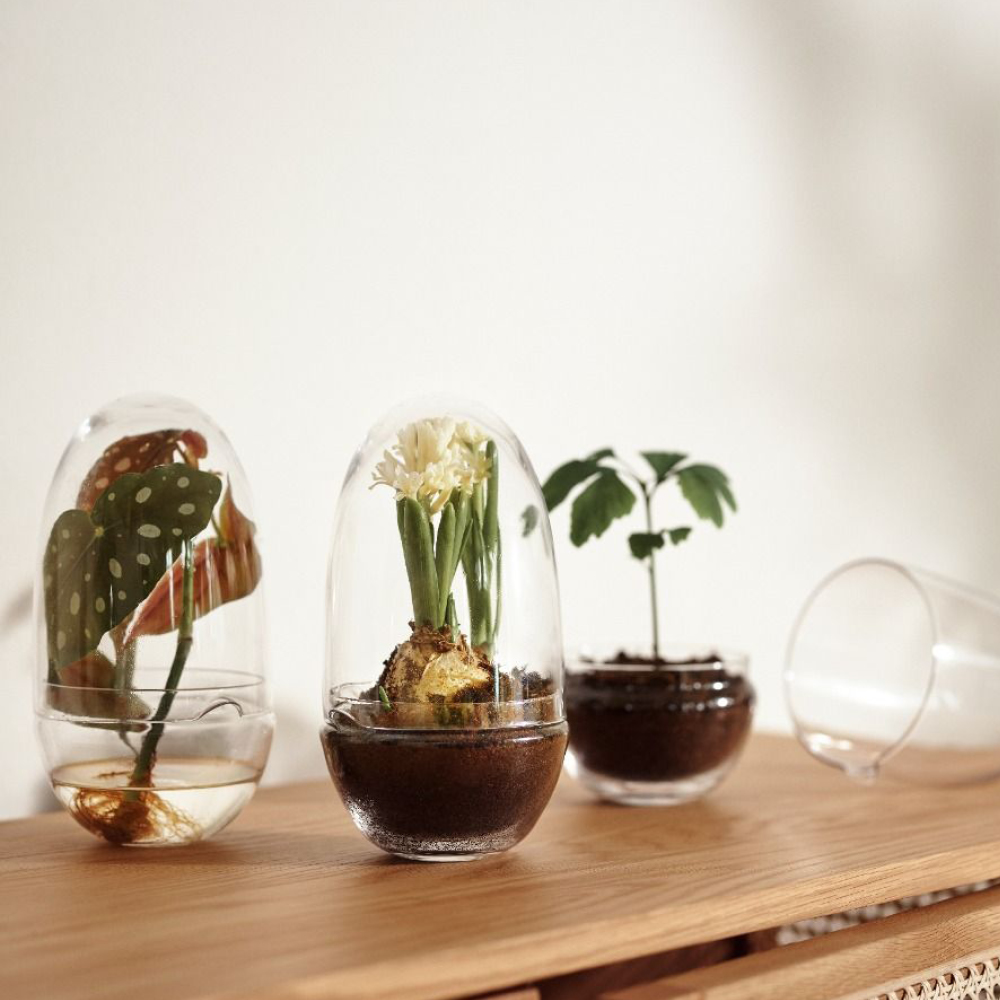 Grow Växthus Medium 24 cm