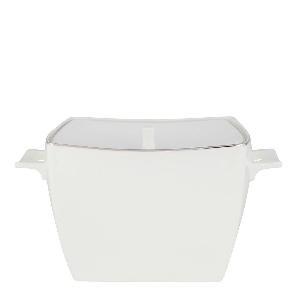 Extreme Platinum Terrin 3 L Vit