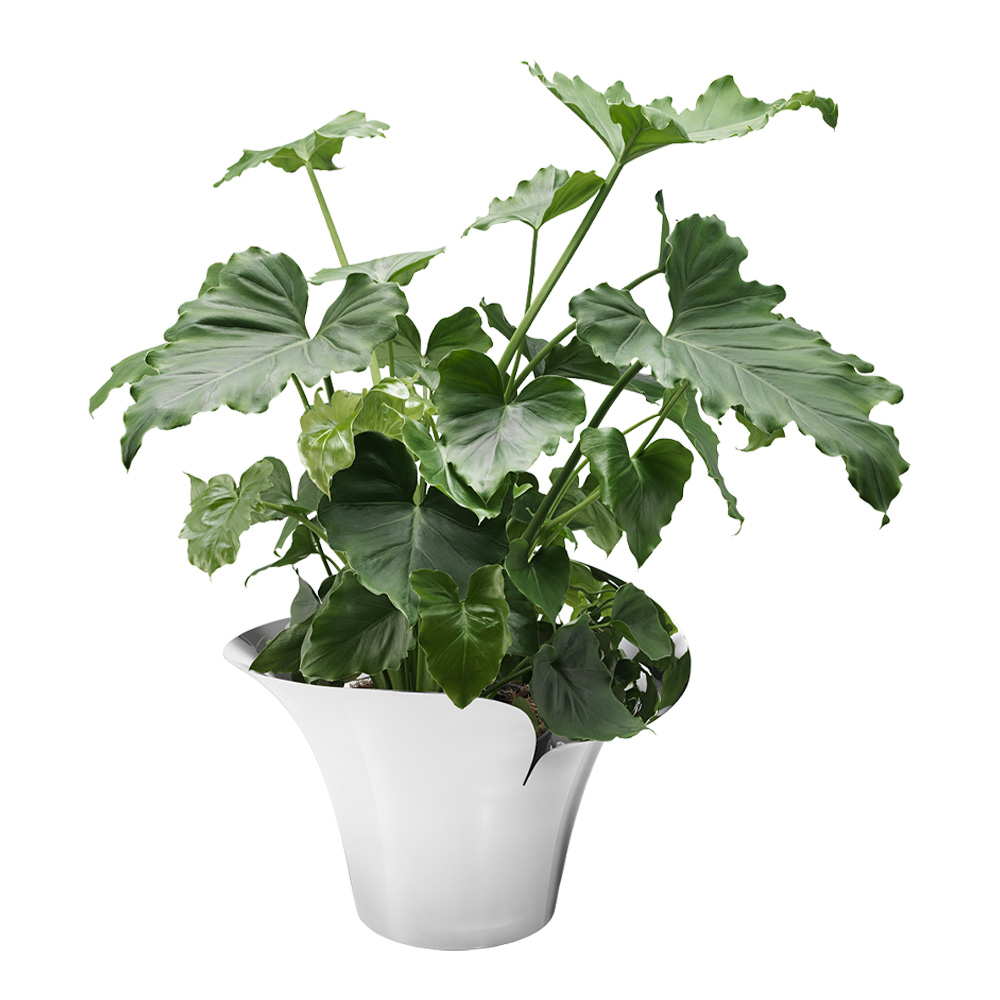 Bloom Botanica Kruka Large 22,3 cm Rostfri