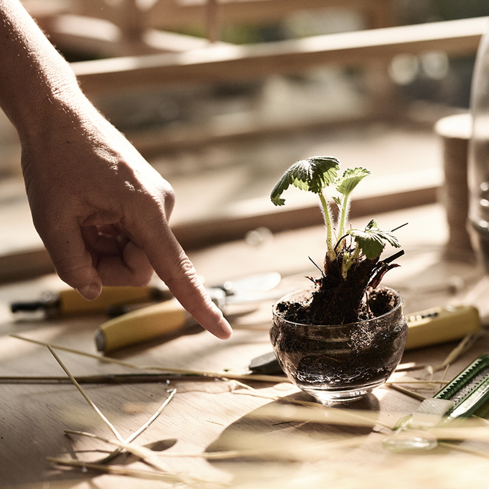 Grow Växthus Small 14 cm