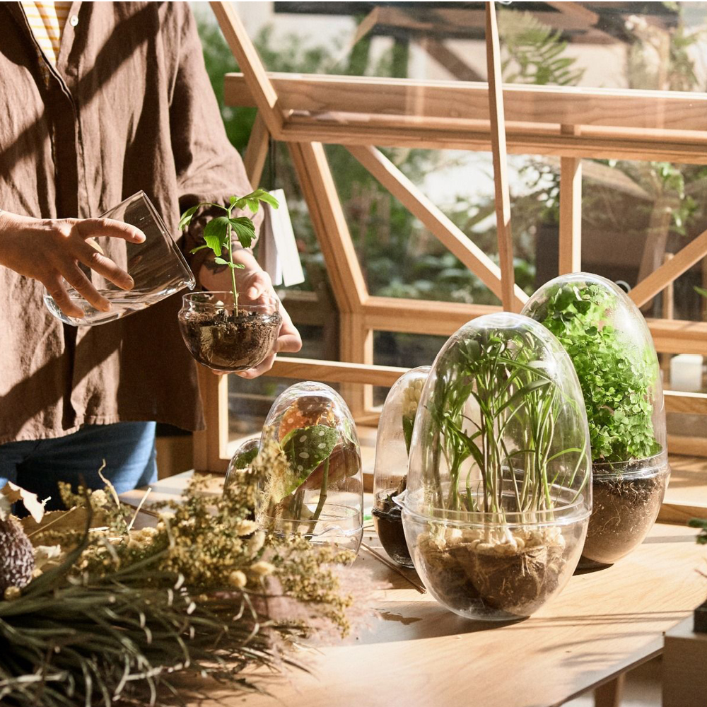 Grow Växthus Medium 24 cm