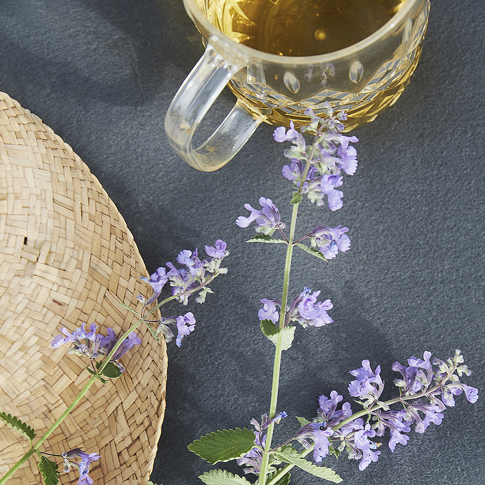 Picknick Kanna 1,2 L