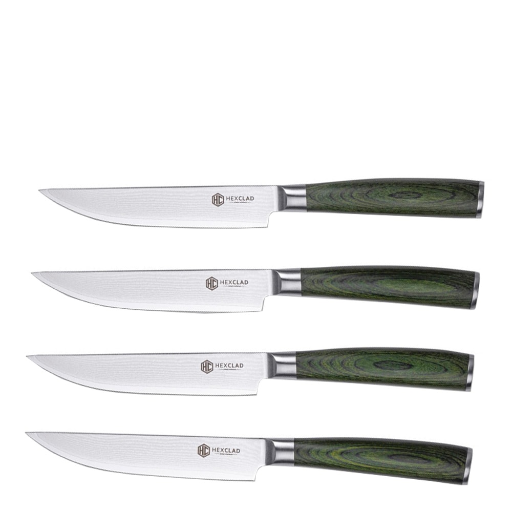 Hybrid Biffkniv Set 4 delar Silver/Skogsgrön