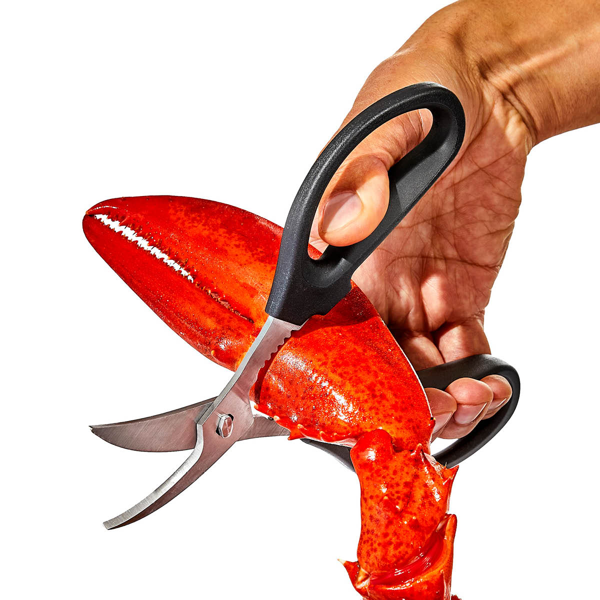 Skaldjurssax 19 cm Svart