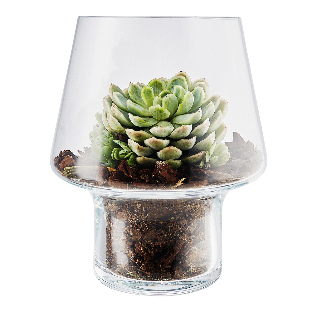 Vas för suckulenter 15 cm
