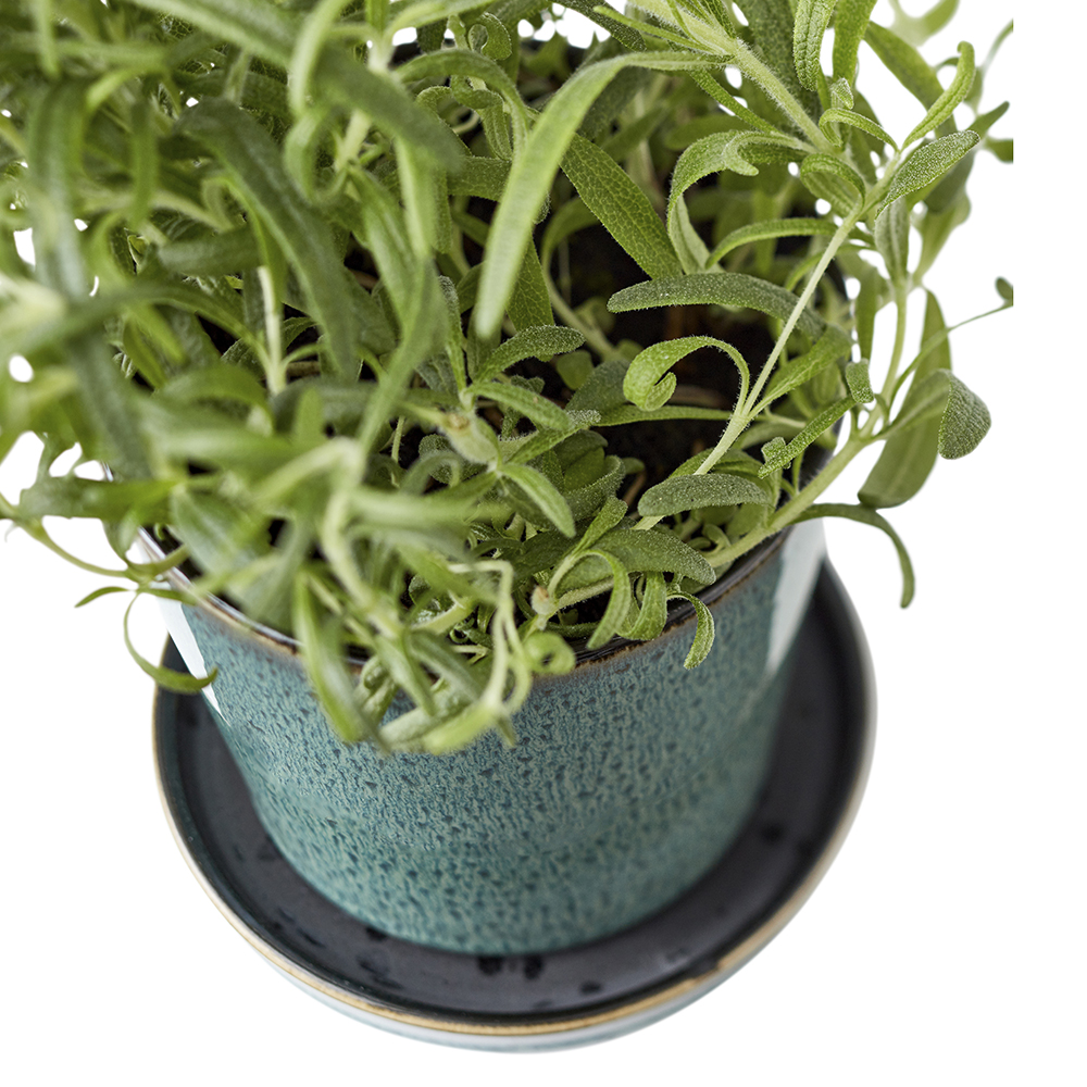 Skjuler Kruka med fat 10 cm Grön/Svart