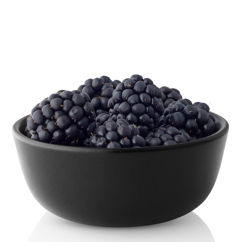 Nordic Kitchen Skål 15 cl Svart