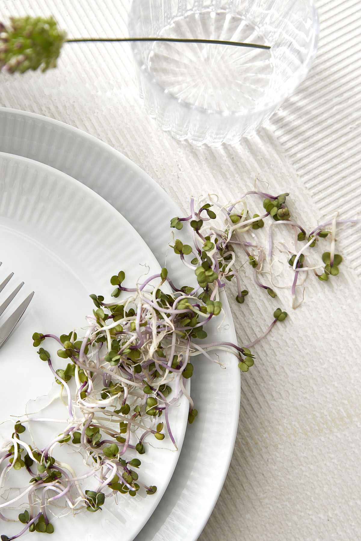 Relief Tallrik 22 cm 4-pack Vit