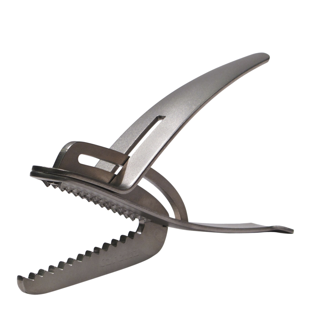 Caretta Skaldjursknäckare Stål