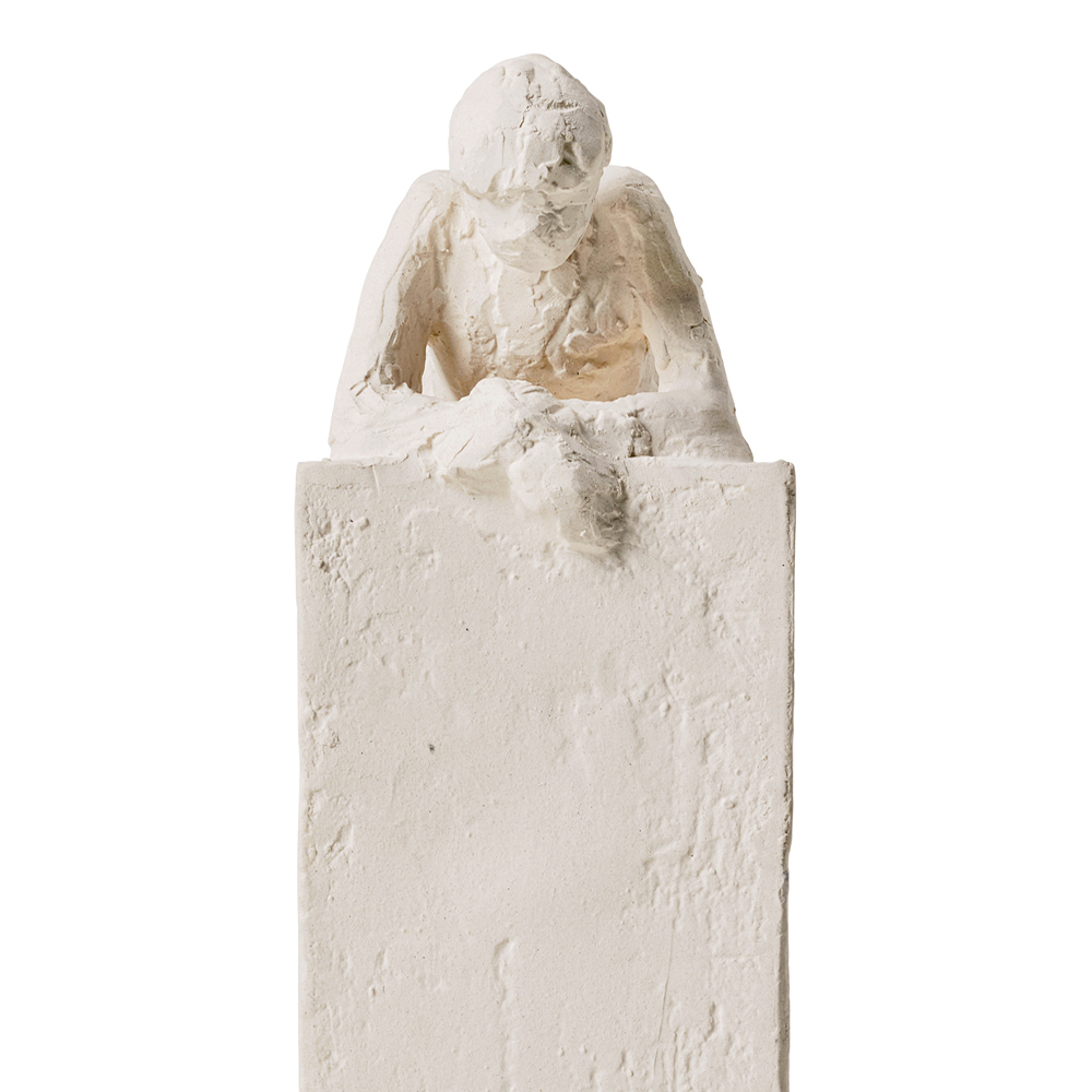 Astro Aquarius 19 cm Vit