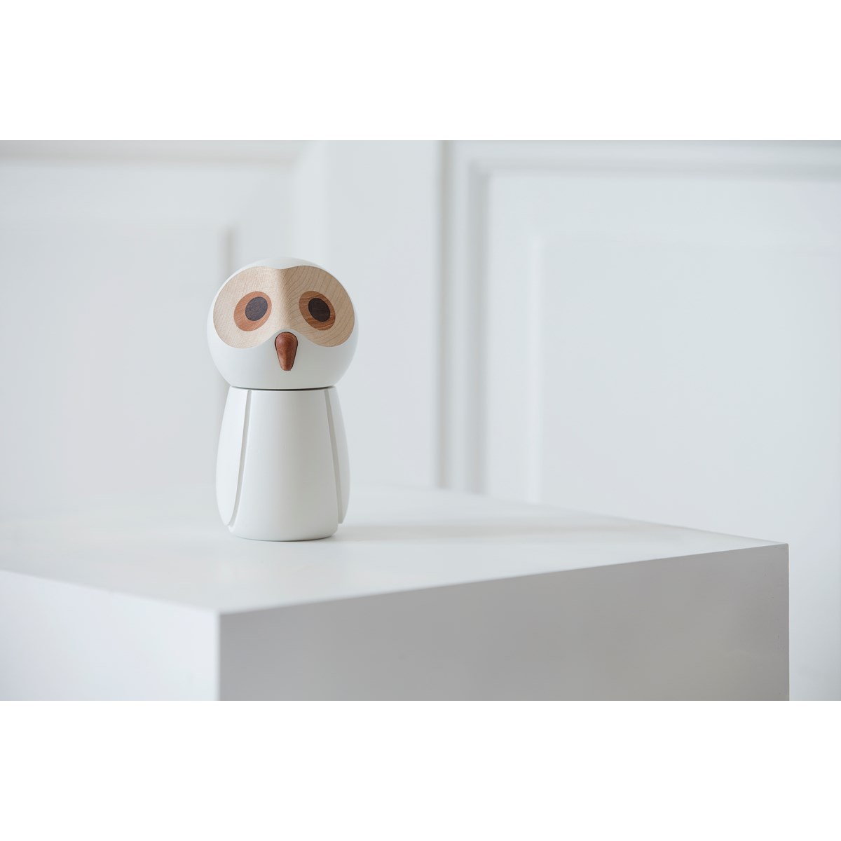 The Snowy Owl Saltkvarn