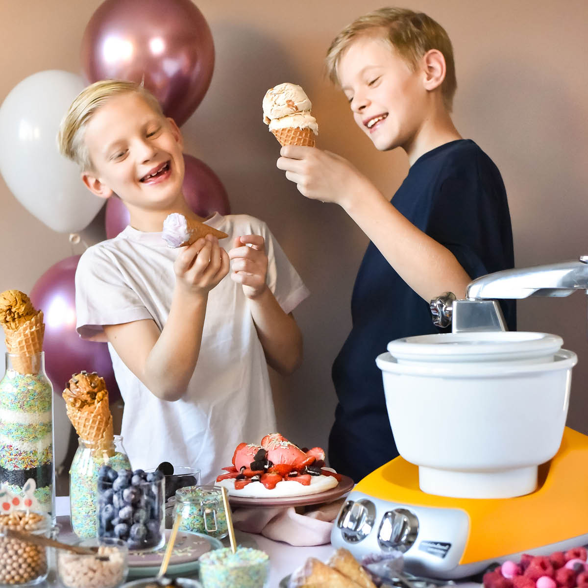 Ankarsrum Glassmaskin Tillbehör Assistent Original