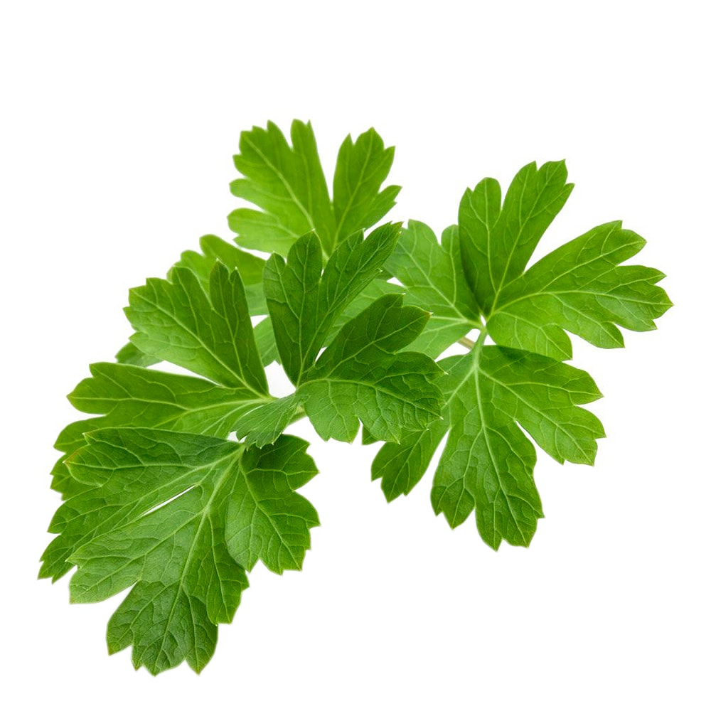 Smart Garden Växtkapsel refill 3-pack Persilja