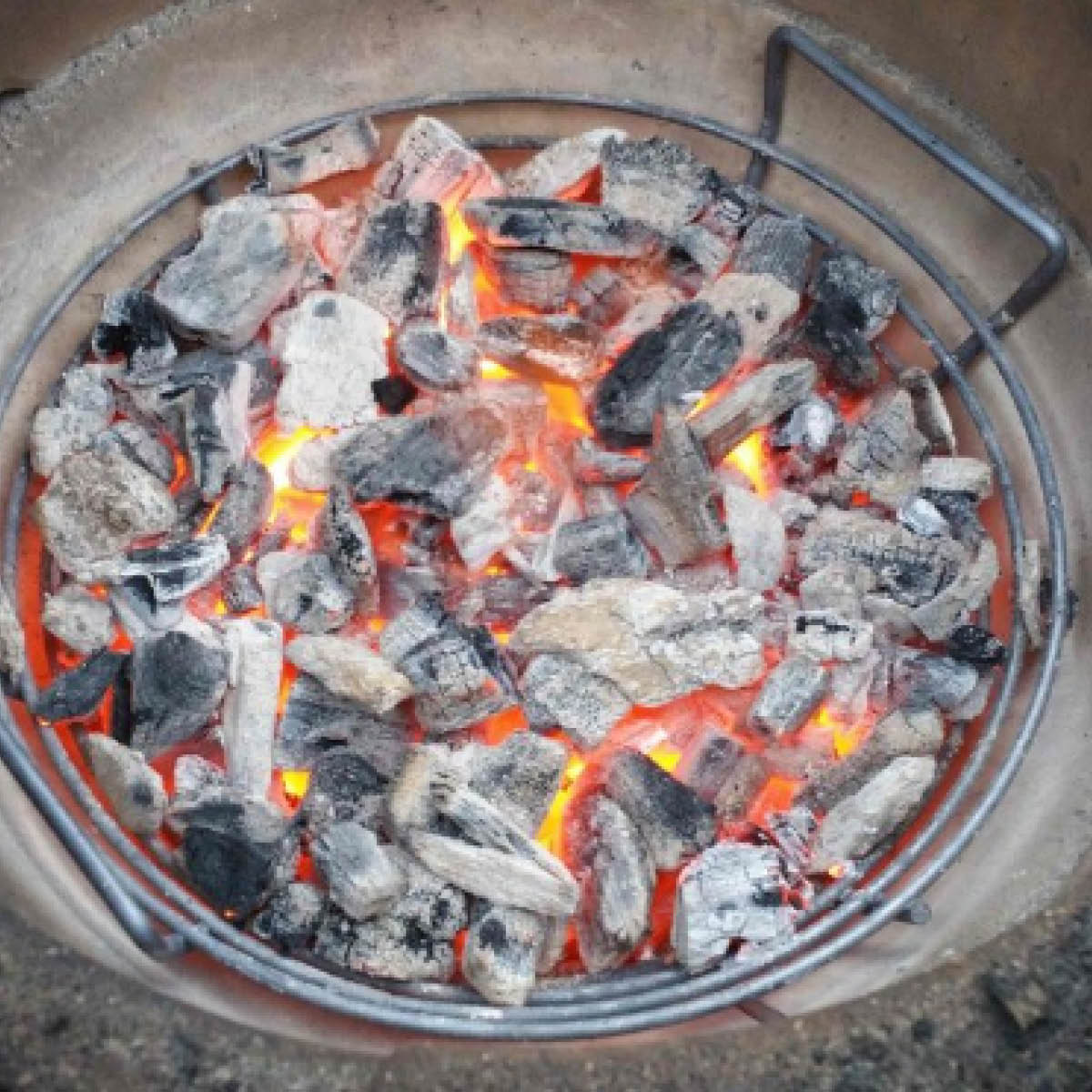 Kolkorg Kick Ash till Maxi 25"