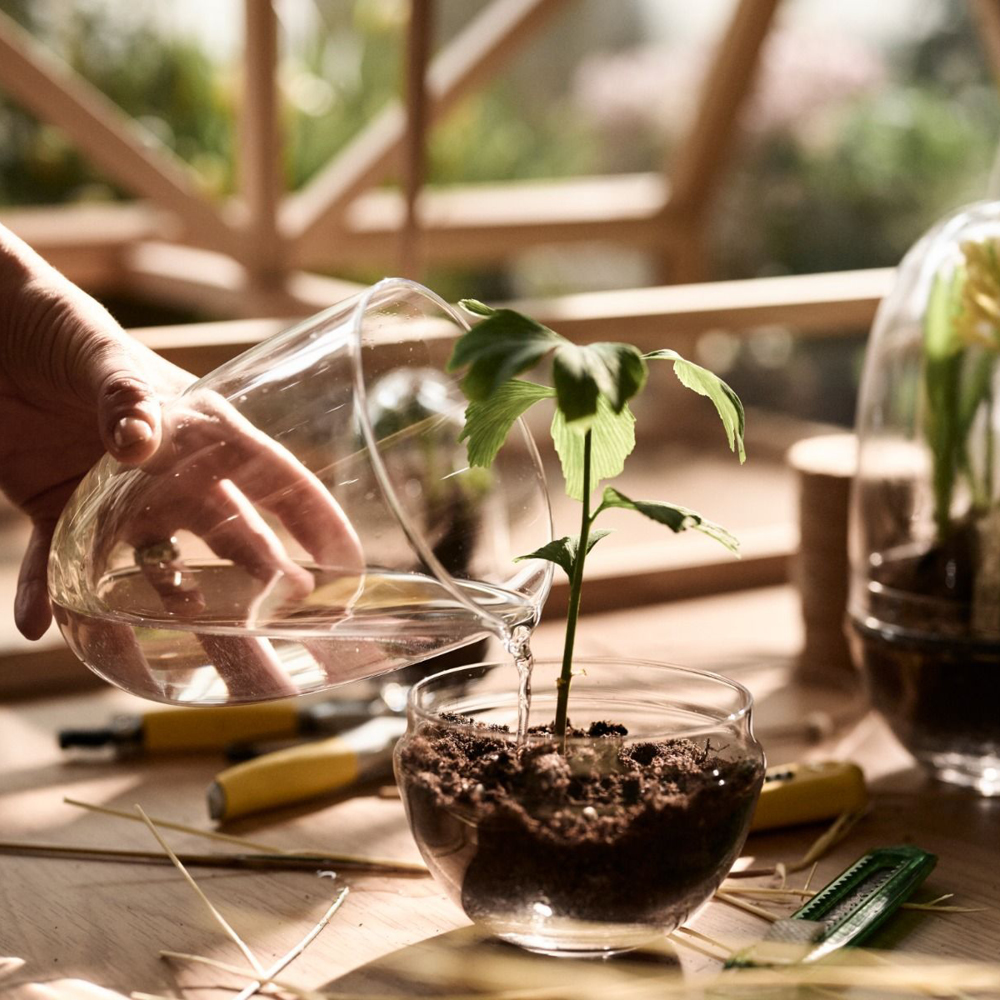 Grow Växthus Medium 24 cm