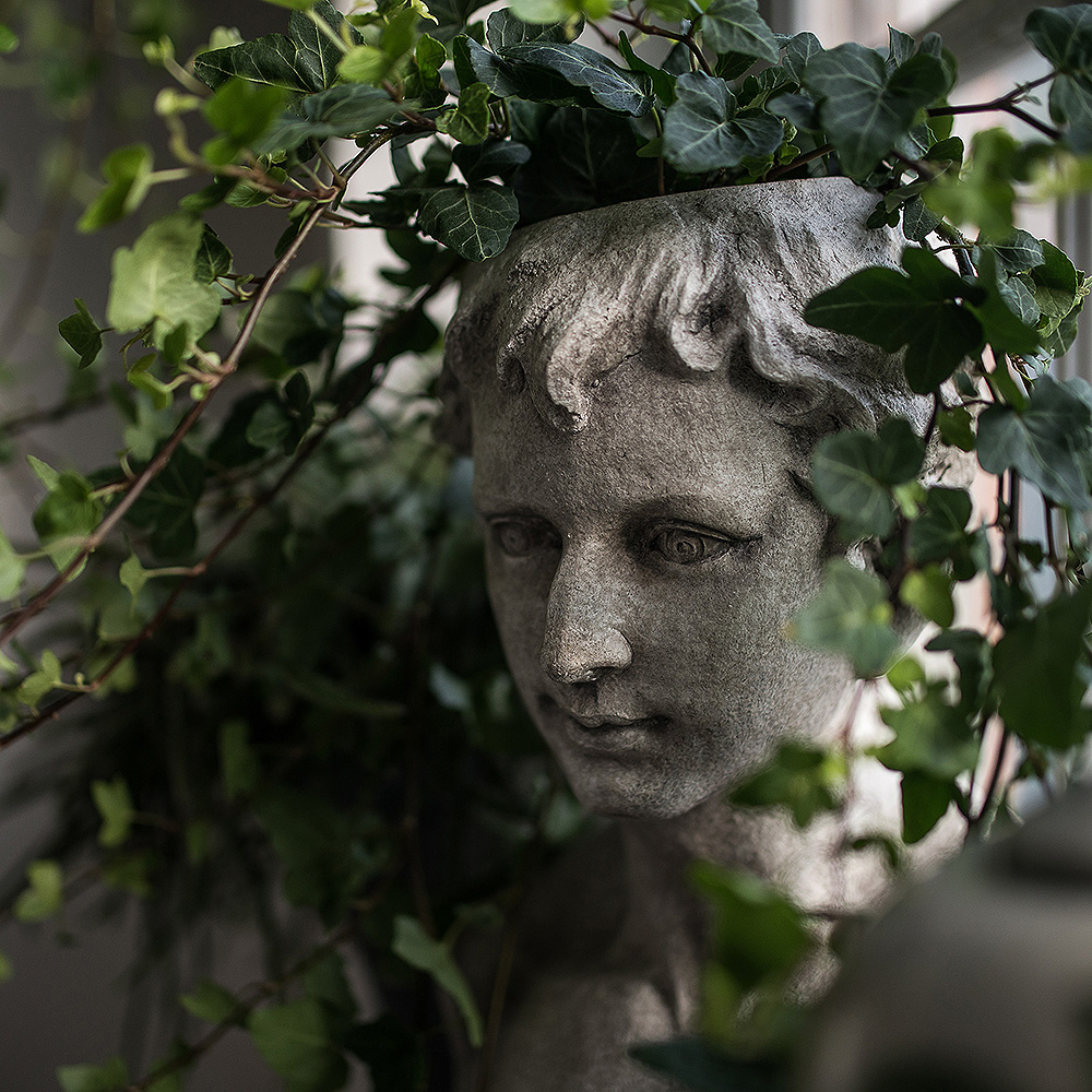 Statue Kruka Byst 30x41 cm Grå