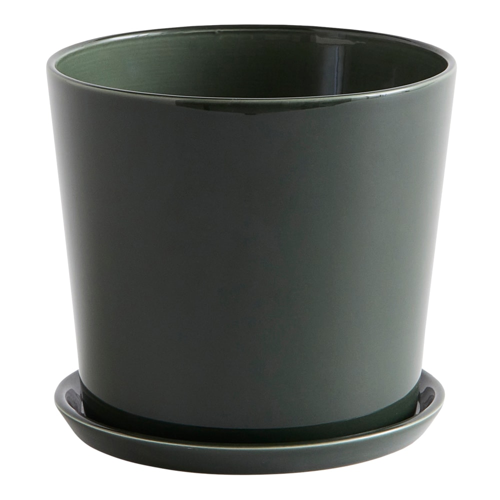 Botanical Family Set Large Mörkgrön