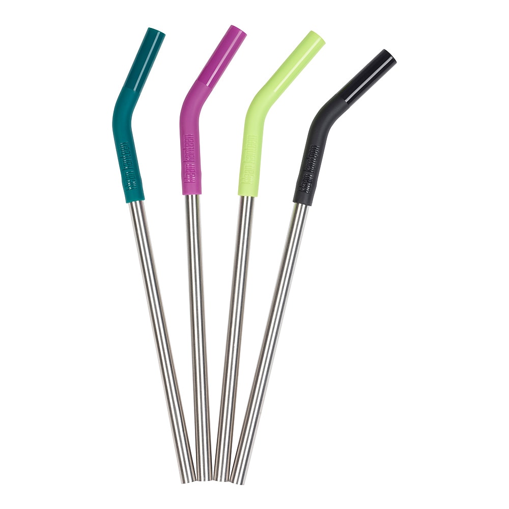 Sugrör 4-pack Rostfri