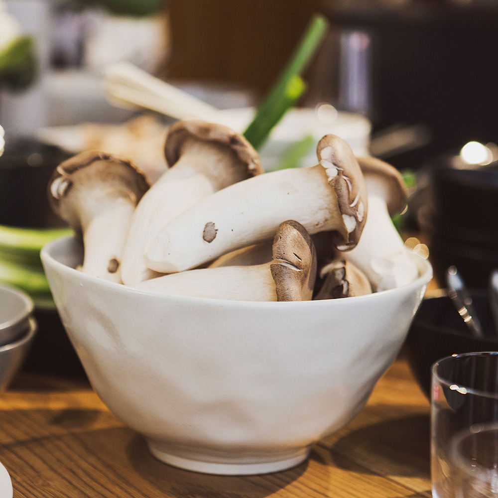 Mist Skål ugnsfast 24 cm Vit