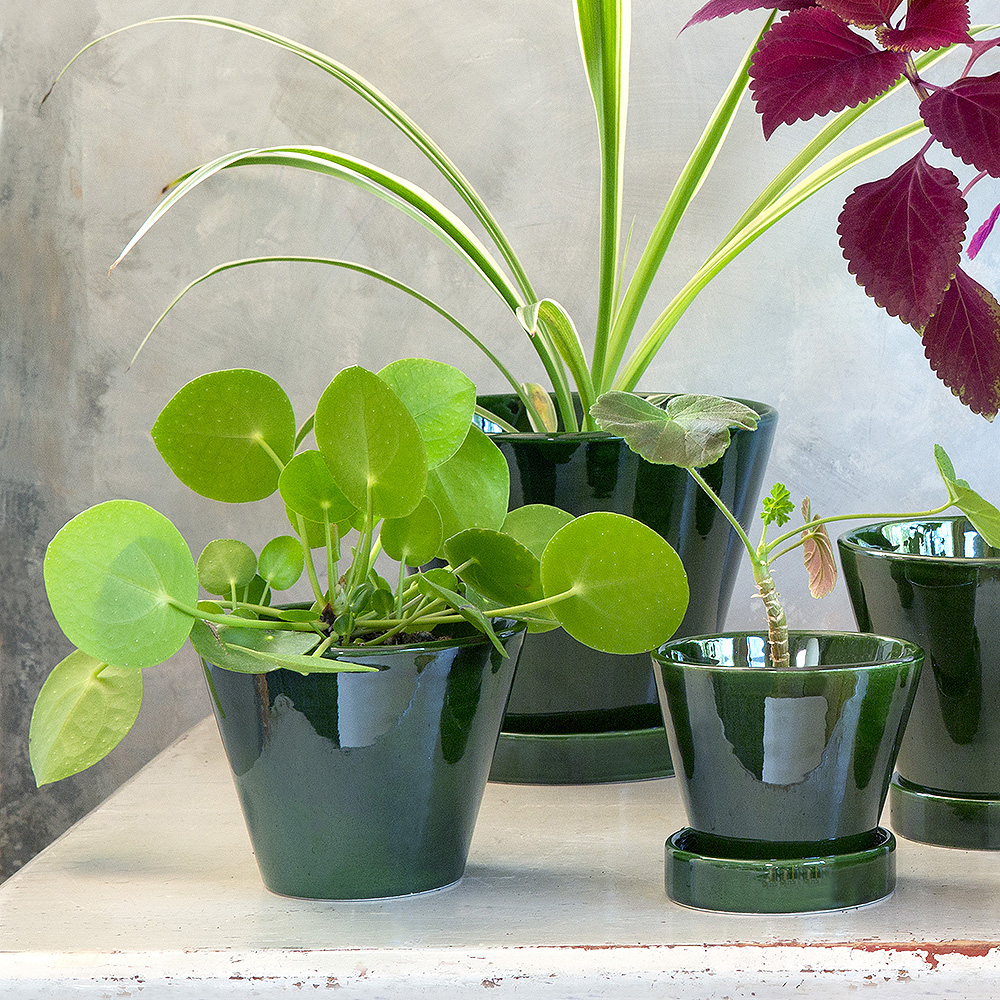 Julie Kruka/Fat 15 cm Grön emerald