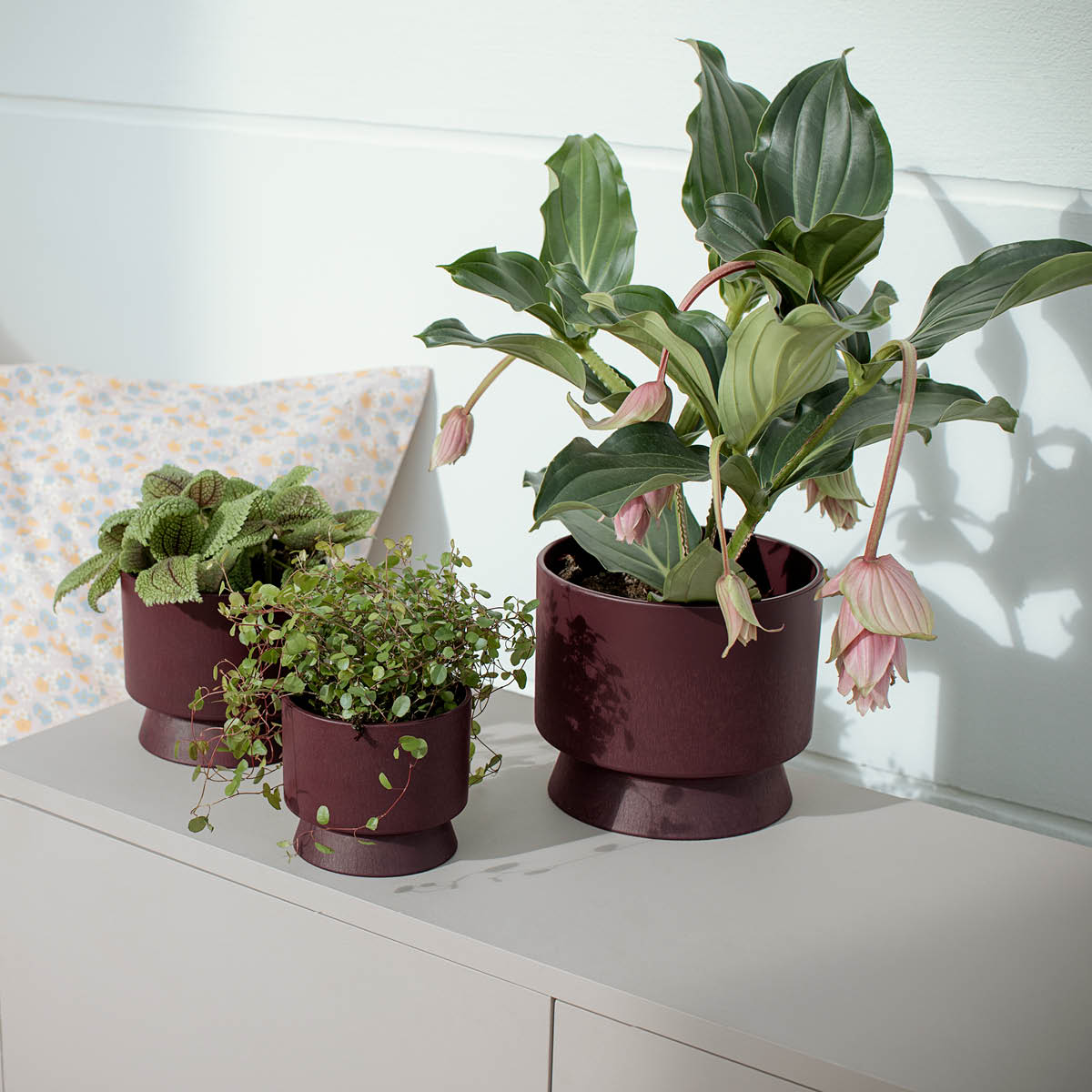 Blomkruka 15 cm Vinröd