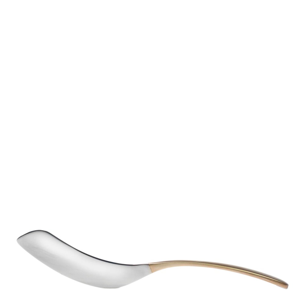 Gondol Serveringskniv Rostfri/Mässing