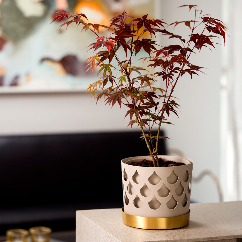 Kruka Trio Drop 12 cm Beige