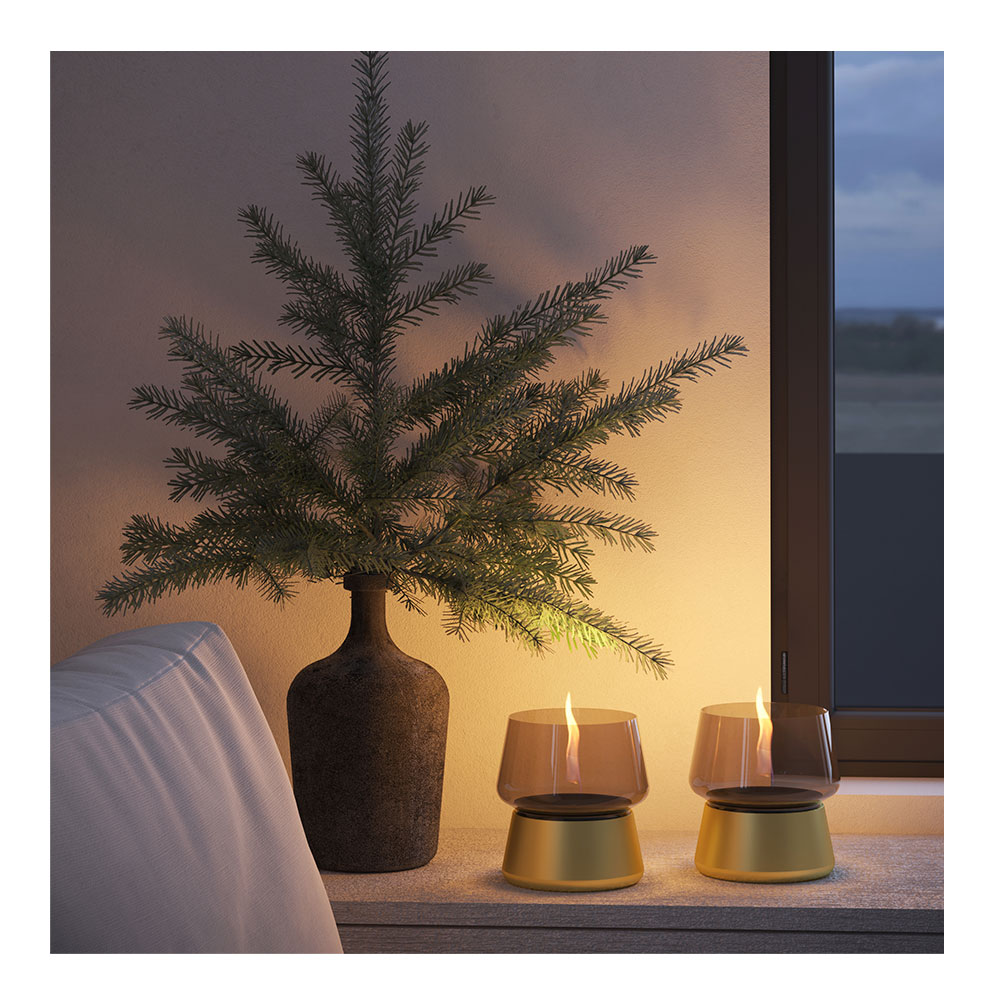 Amaryllis Lykta 14 cm Champagne