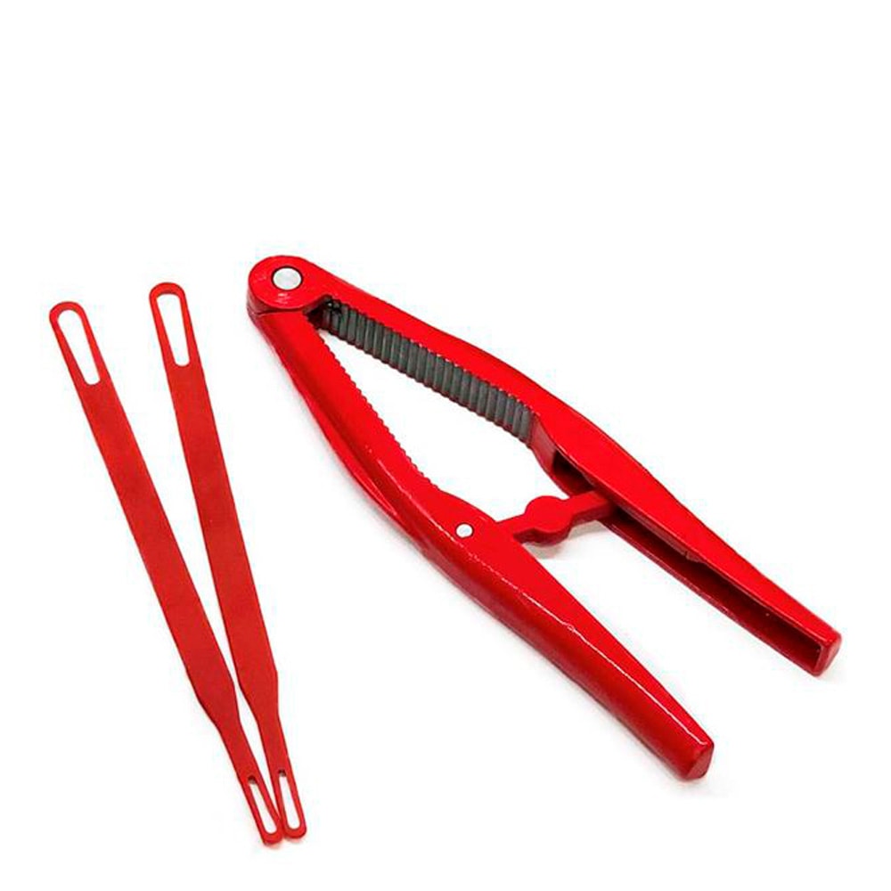 Skaldjursset  3 delar Röd