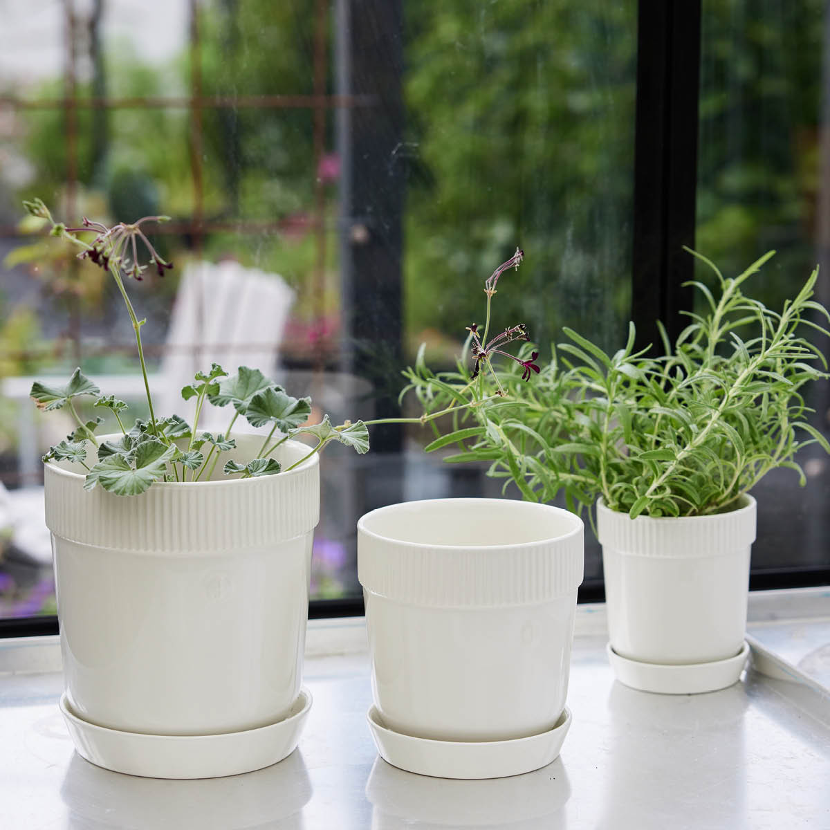 Elise  Örtkruka 11 cm Vit