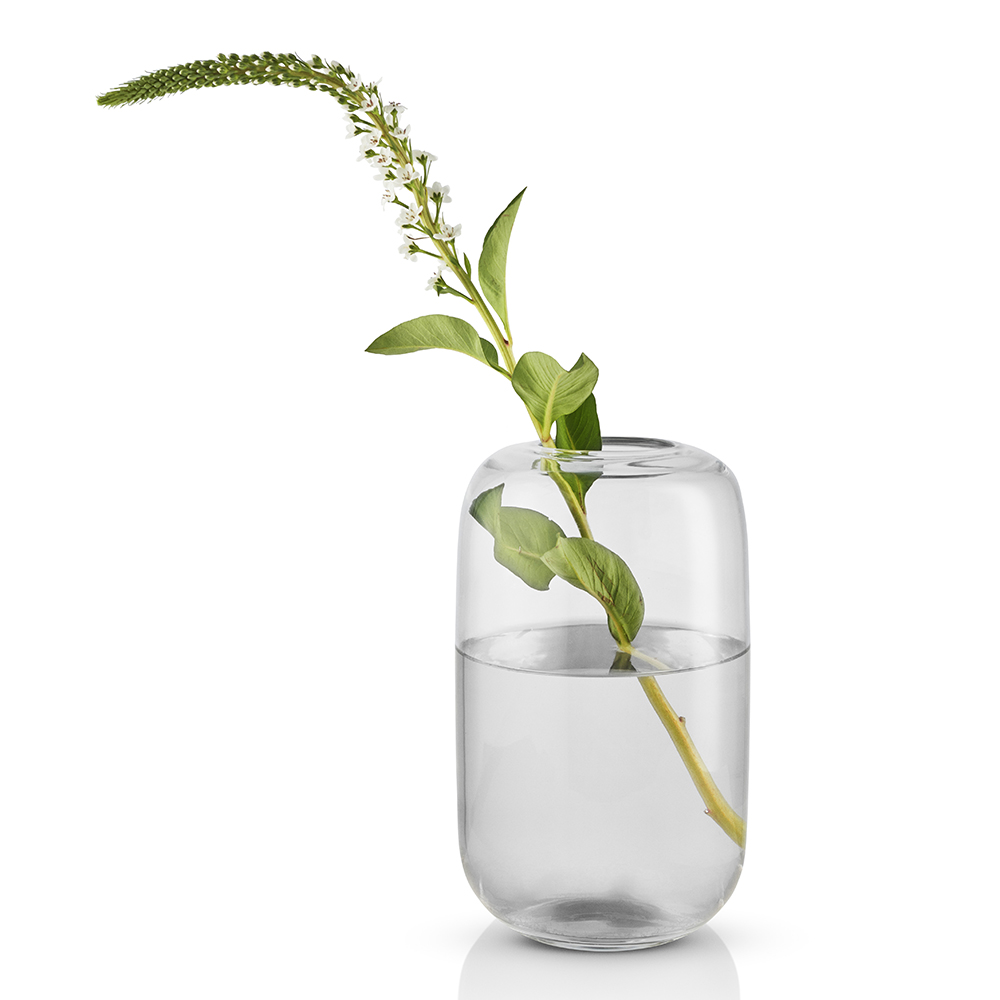Acorn Vas 22 cm Klar