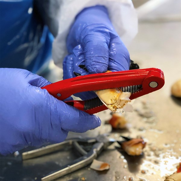 Skaldjursset  3 delar Röd