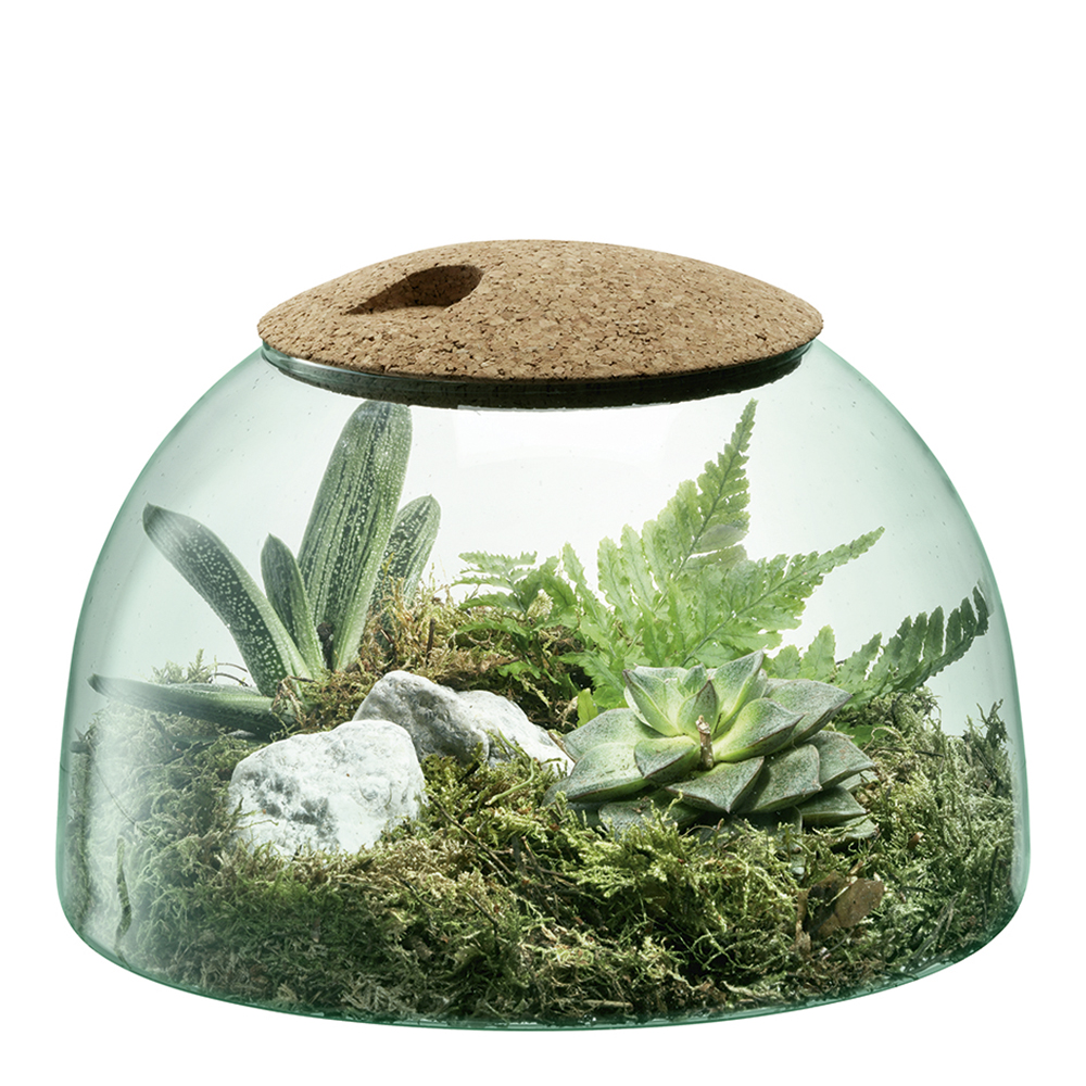 Canopy Terrarium 16,5 cm