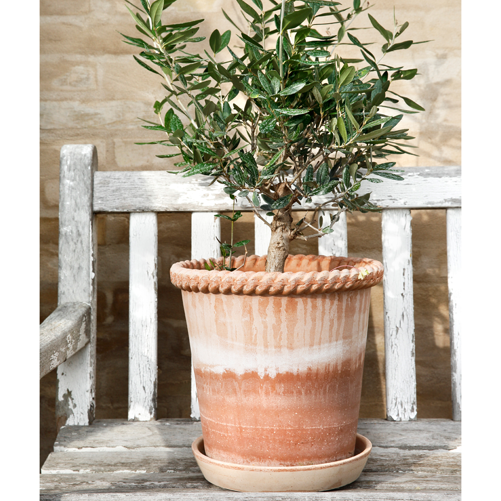 Emilia Kruka/Fat 30 cm Rosa