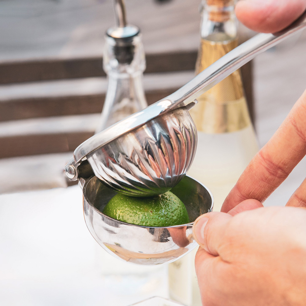 Citruspress 22 cm?Rostfri