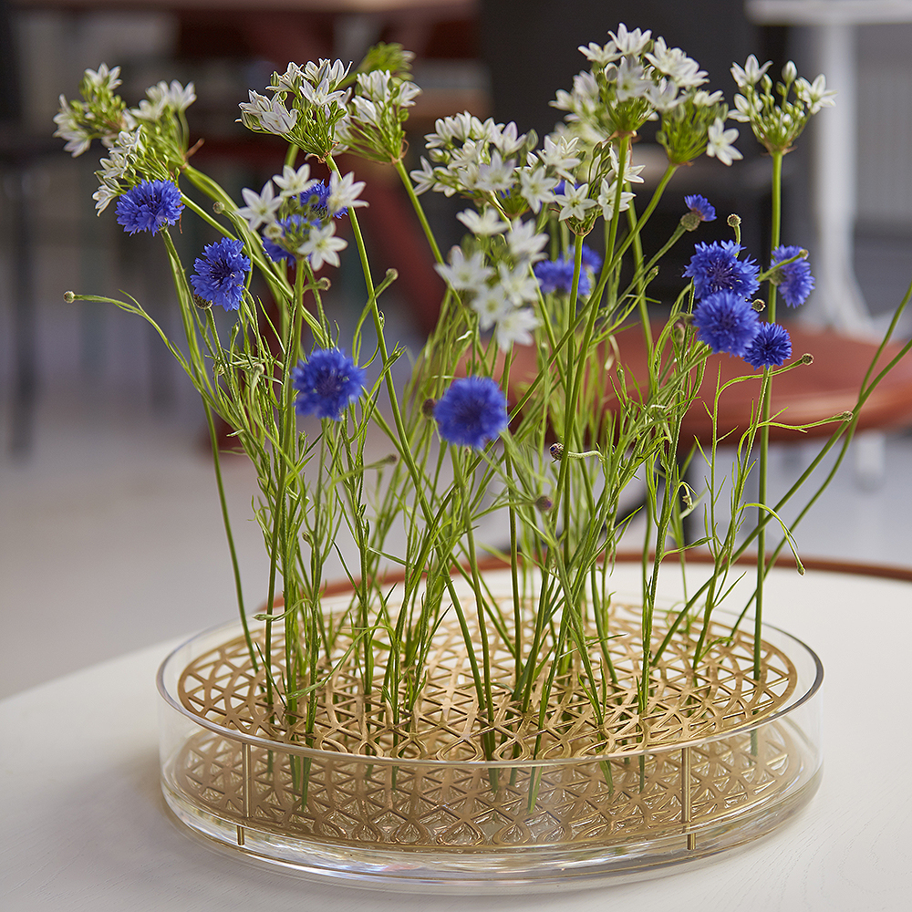 Äng Vas mega Blåsvart