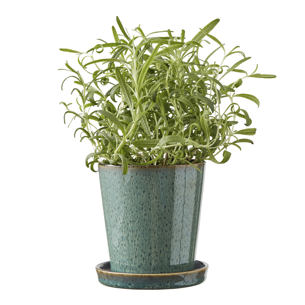 Skjuler Kruka med fat 10 cm Grön/Svart