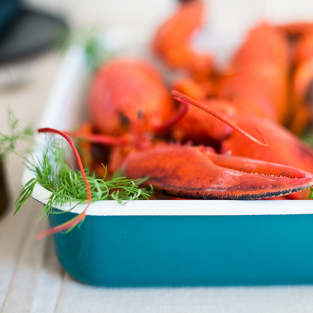 Ugnsform 31x20 cm Blå